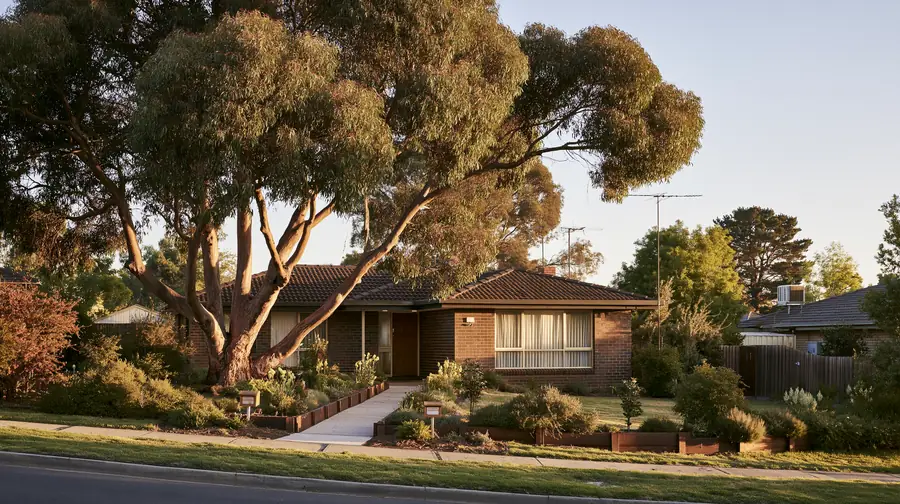 An established brick home under a mature gum tree at golden hour